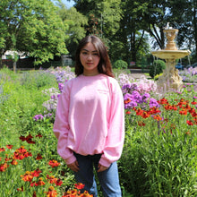 Load image into Gallery viewer, Cute Pink Sweatshirt Jumper Manifest